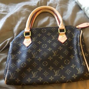 LV Purse